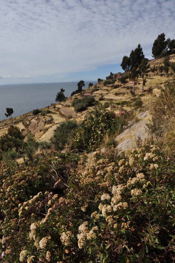 Ilha de Taquile, no lago Titicaca, no Peru